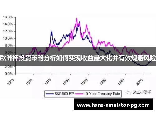欧洲杯投资策略分析如何实现收益最大化并有效规避风险