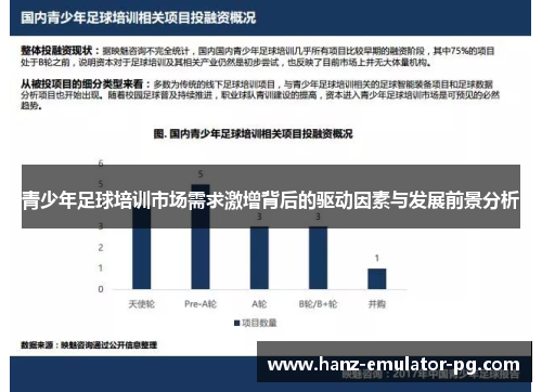 青少年足球培训市场需求激增背后的驱动因素与发展前景分析